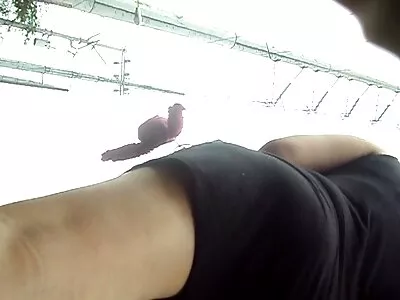 色情明星无法阻止男人抚摸她的胸部和肉欲