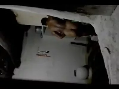两只看起来很自然的小鸡非常喜欢裸体摔跤